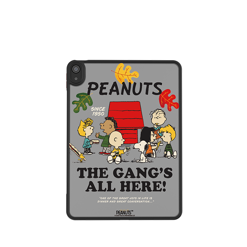 Snoopy iPad Case