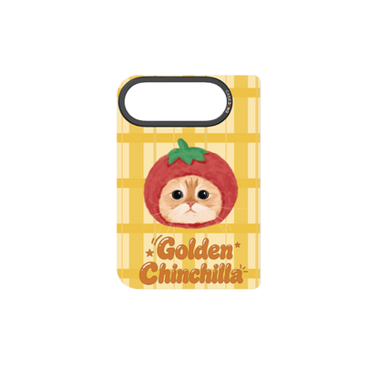 C.K.BG.AP.G1.B017