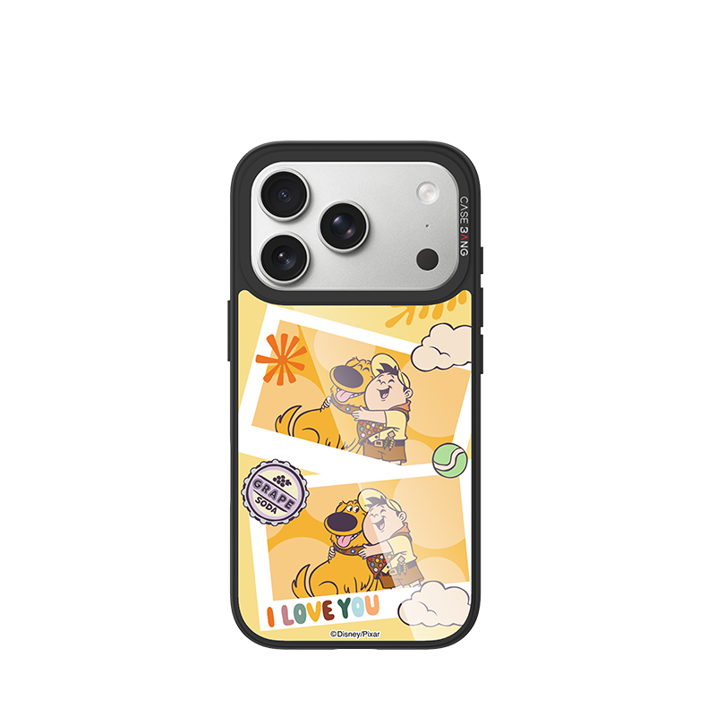THE PARTNER Glossy Mirror Case