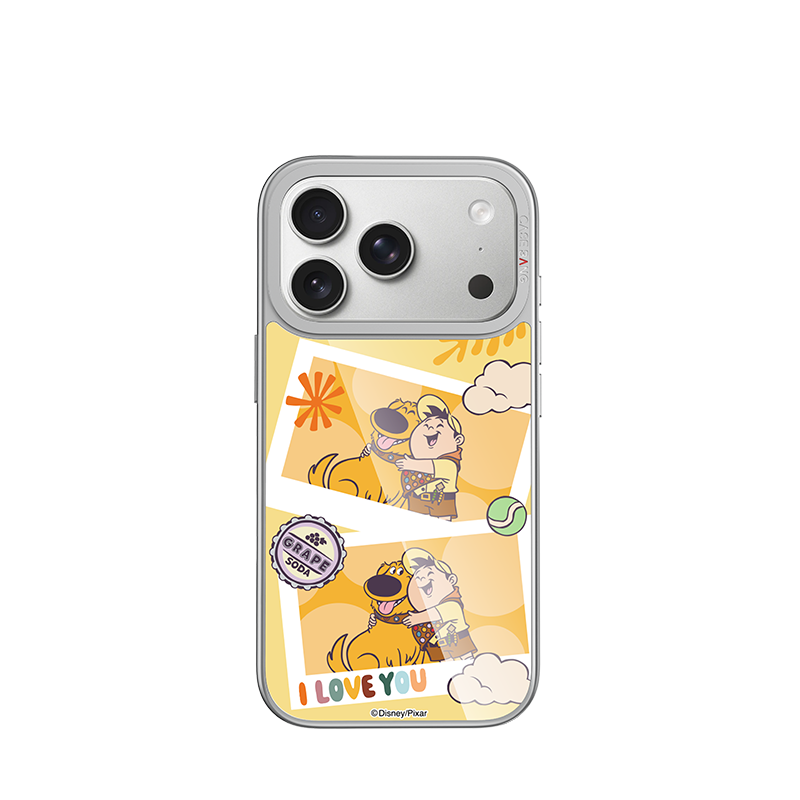 THE PARTNER Glossy Mirror Case