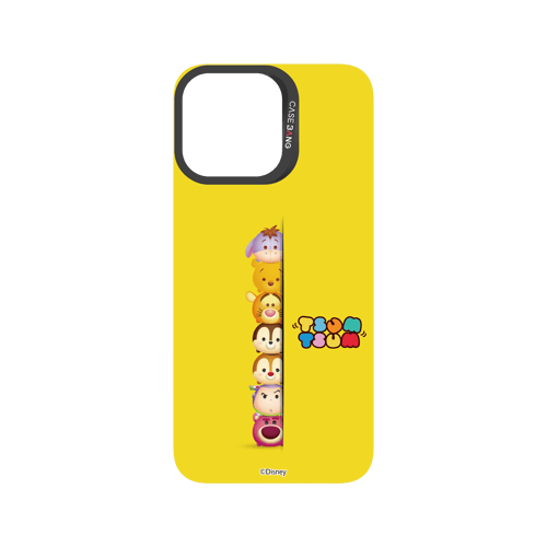 C.K.BG.AP.C8.B058