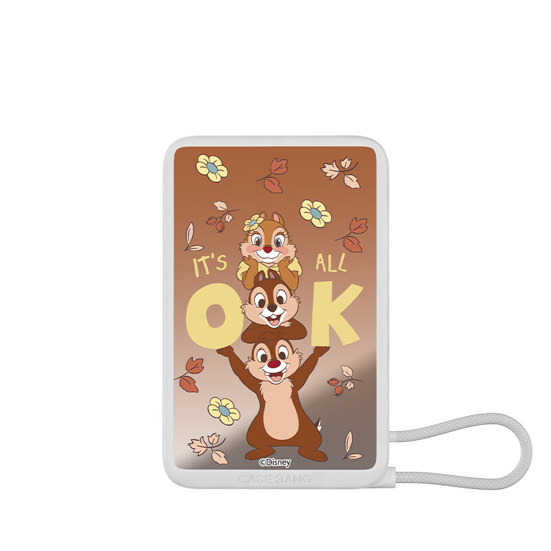 Chip 'n' Dale power bank with built-in cable | CASEBANG