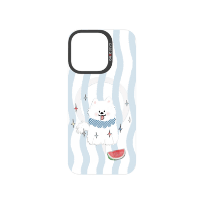 C.K.BG.AP.E3.D065