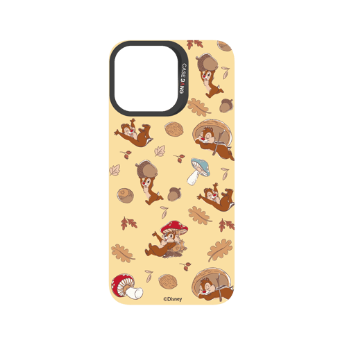 C.K.BG.AP.A1.C062