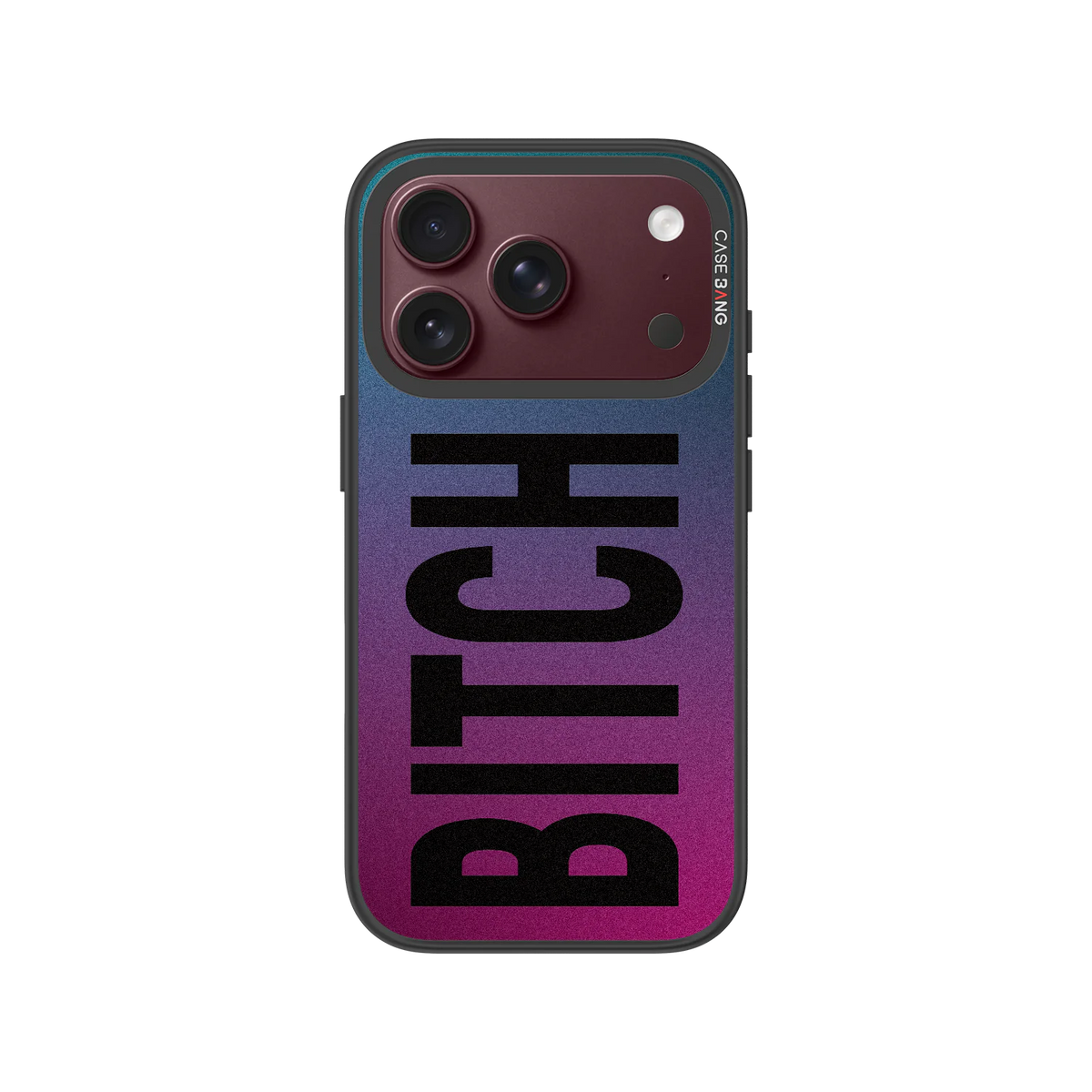 Bitch Snap-On Phone Case — iPhone 18 Pro — Complete Case Set