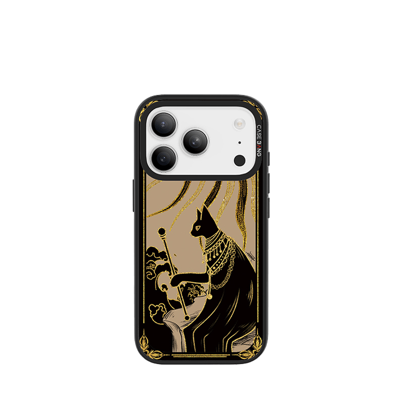 THE FOOL Imagisnap - CaseBangImagisnapCaseBangiPhone 17 Pro MaxBack Cover